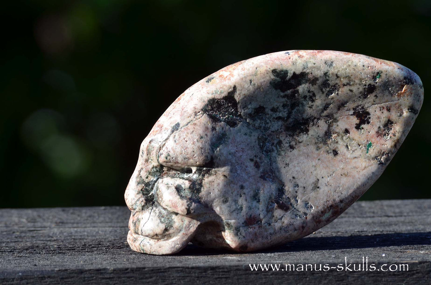 EILAT STONE Traveller SKULL
