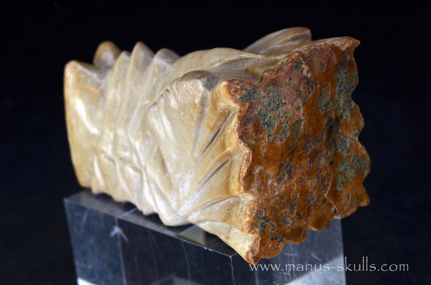 Sarsens stone Dragon (Stonehenge Stone)