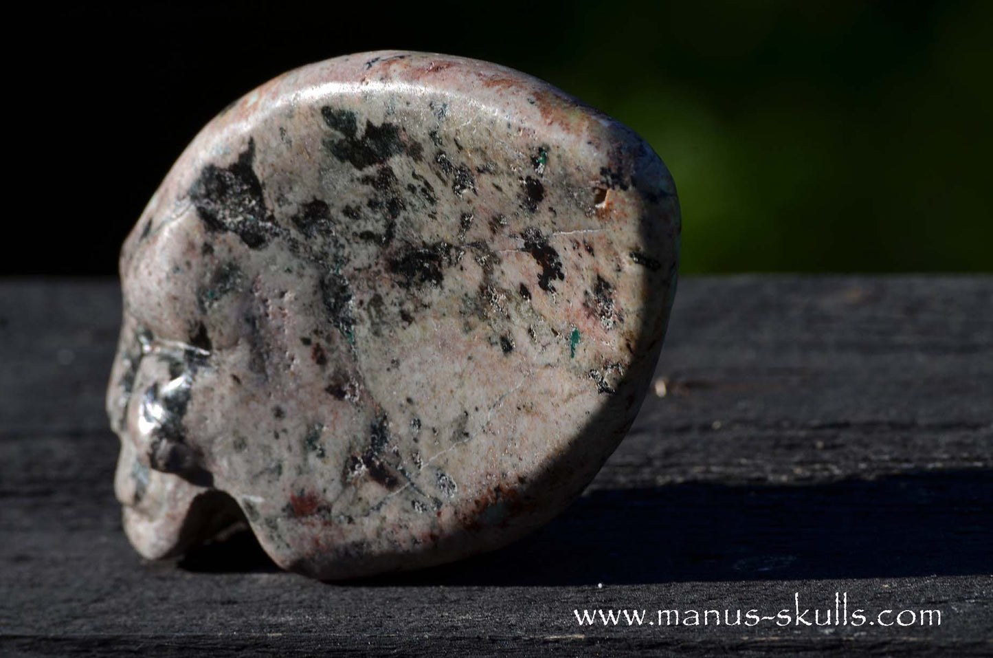 EILAT STONE Traveller SKULL