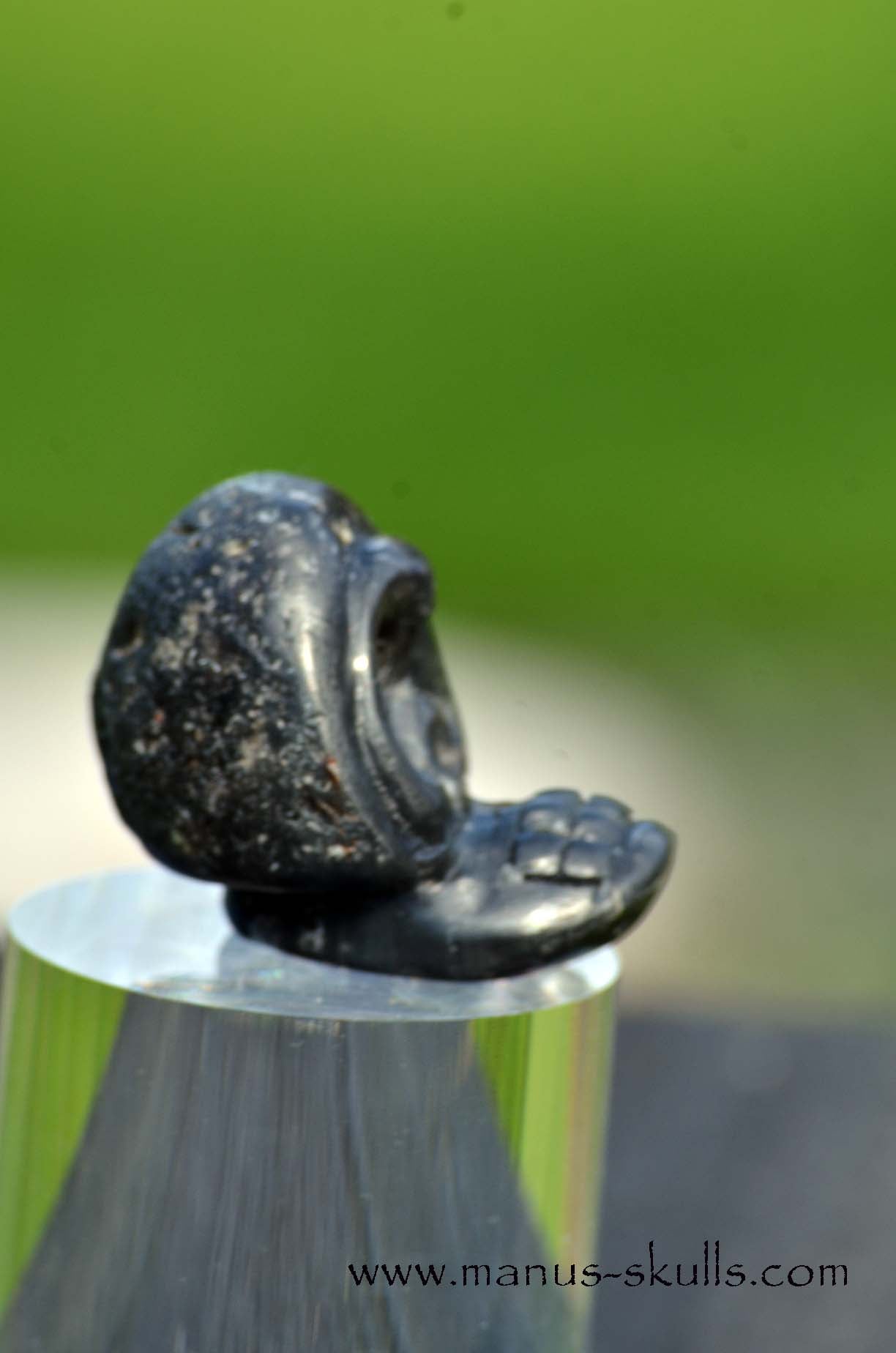 Agni Manitite Evolian #05