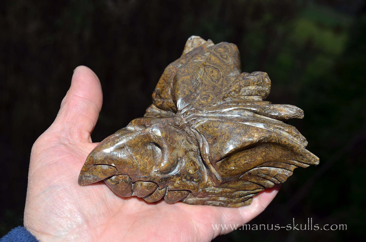 Stromatolite Dragon