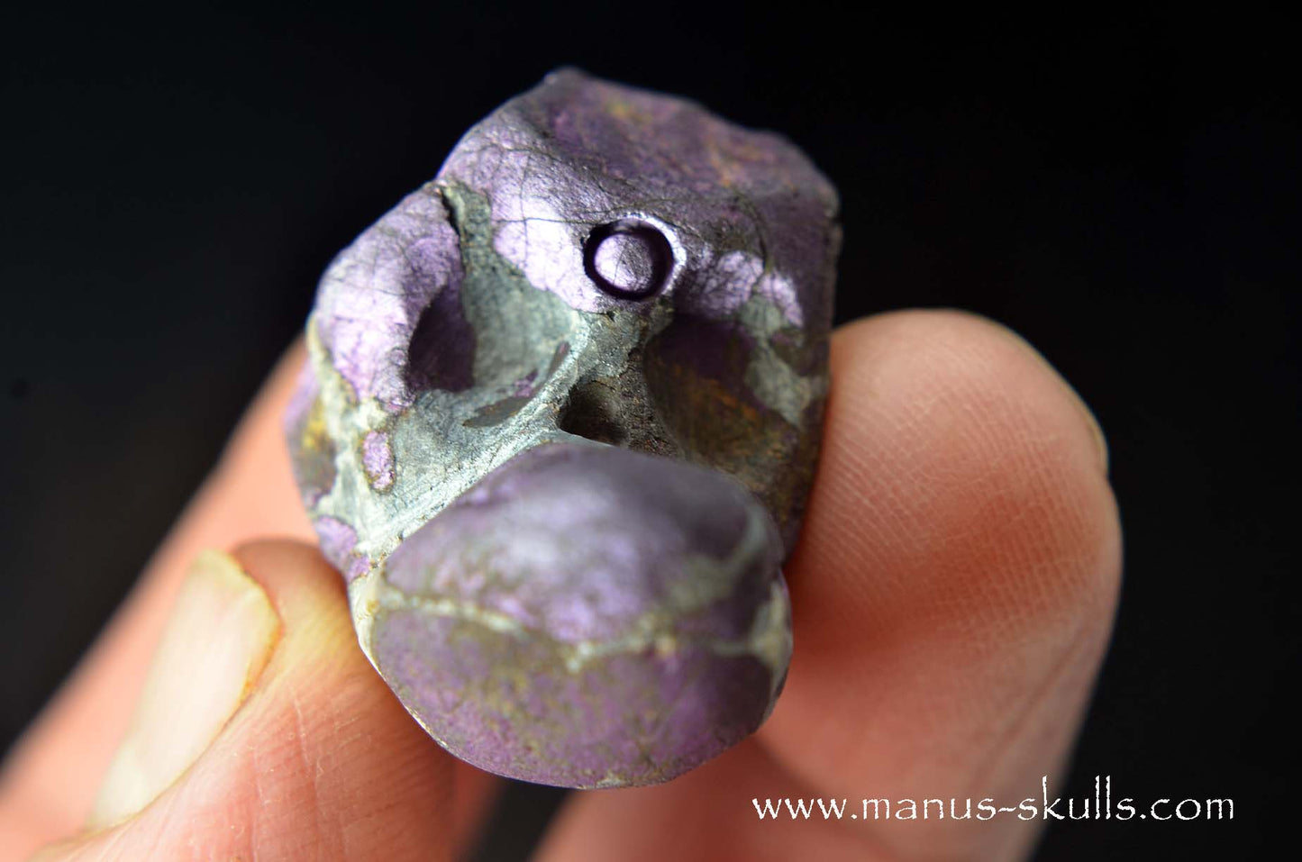 Purpurite Evolian #02