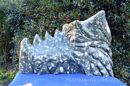 HUGE Preseli Bluestone master Dragon (20 KG)