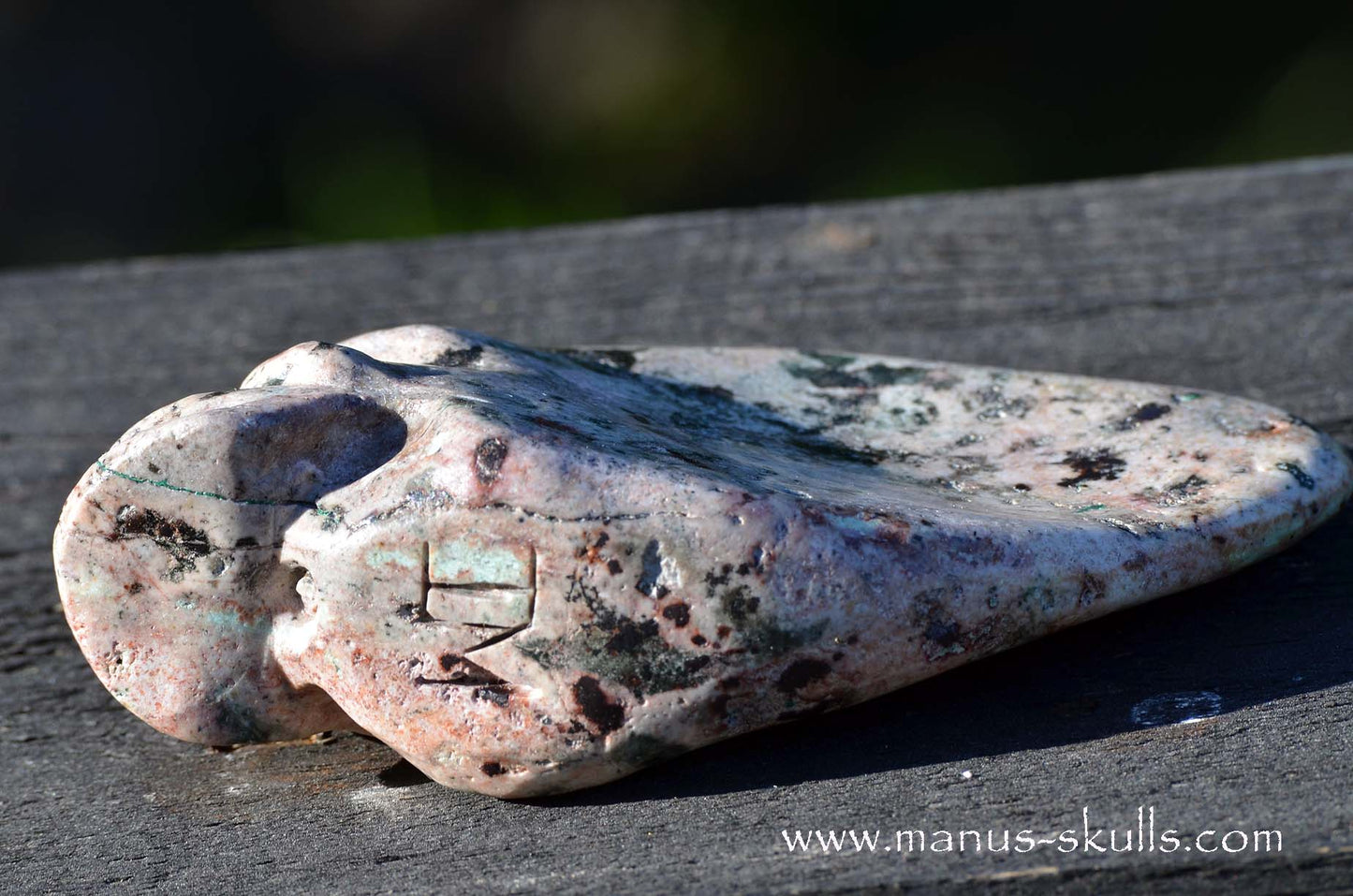 EILAT STONE Traveller SKULL