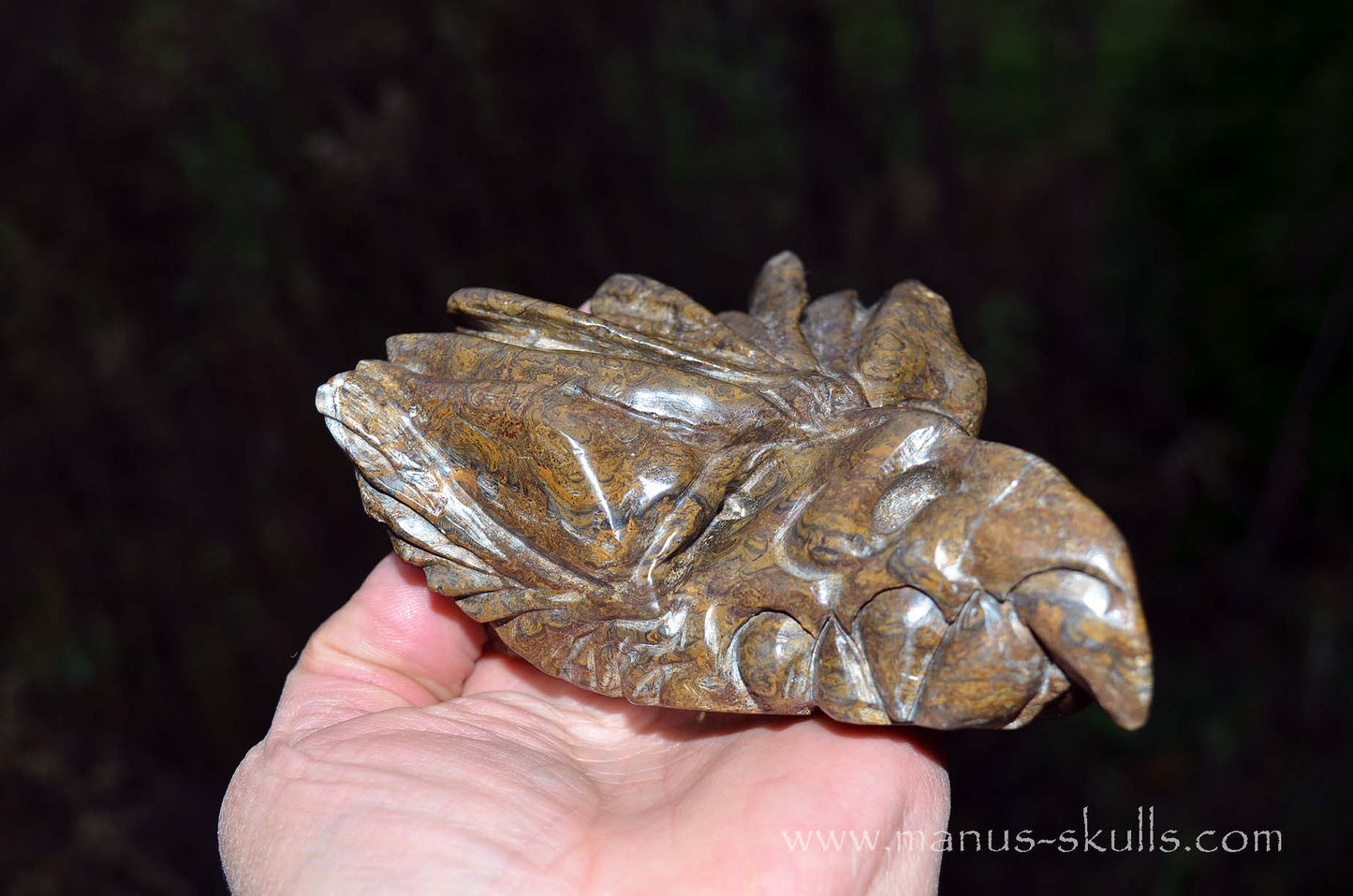 Stromatolite Dragon