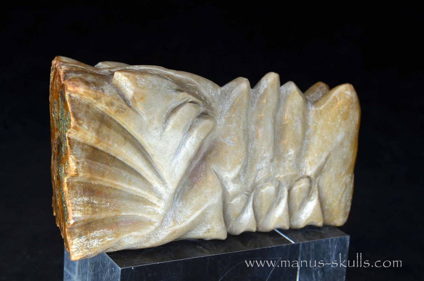 Sarsens stone Dragon (Stonehenge Stone)