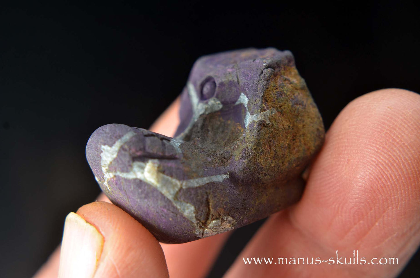 Purpurite Evolian #02