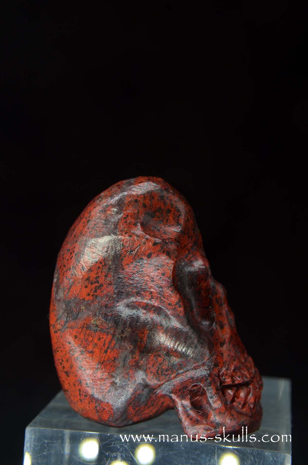 Sonora Sunrise Baby Skull
