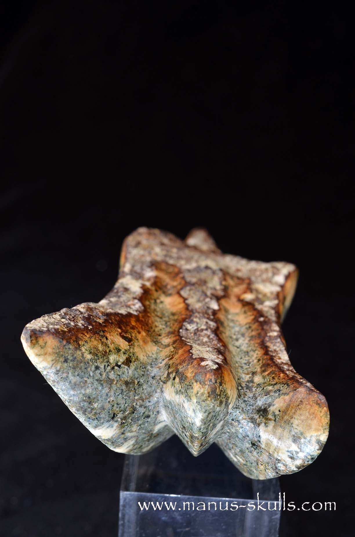 Preseli Bluestone Dragon