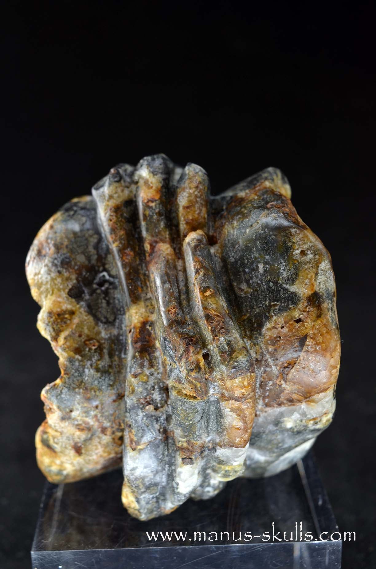 Rare MARCASITE ~ Pyrite Dragon