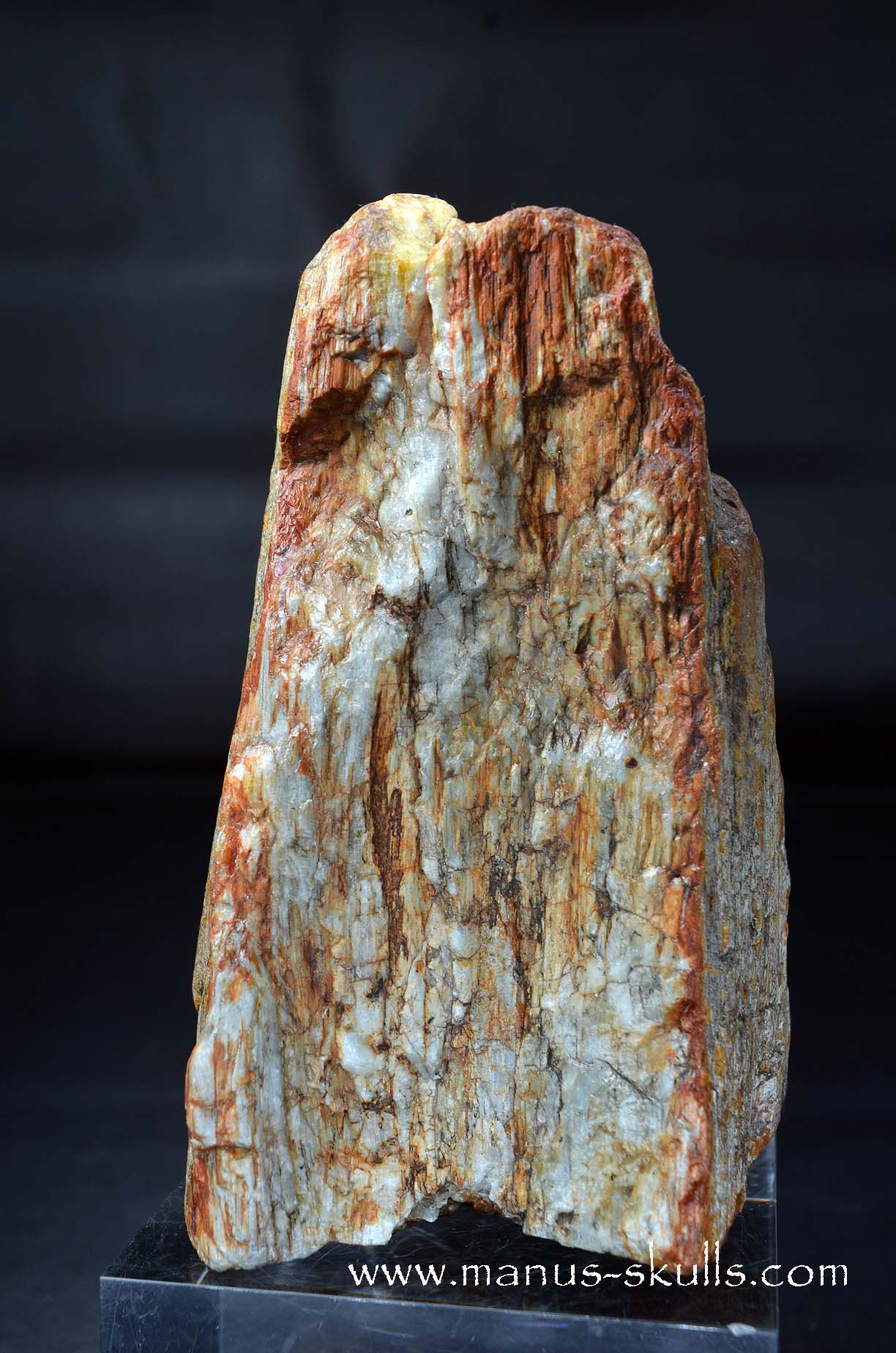 Eagle Eye Quartz Character Skull face