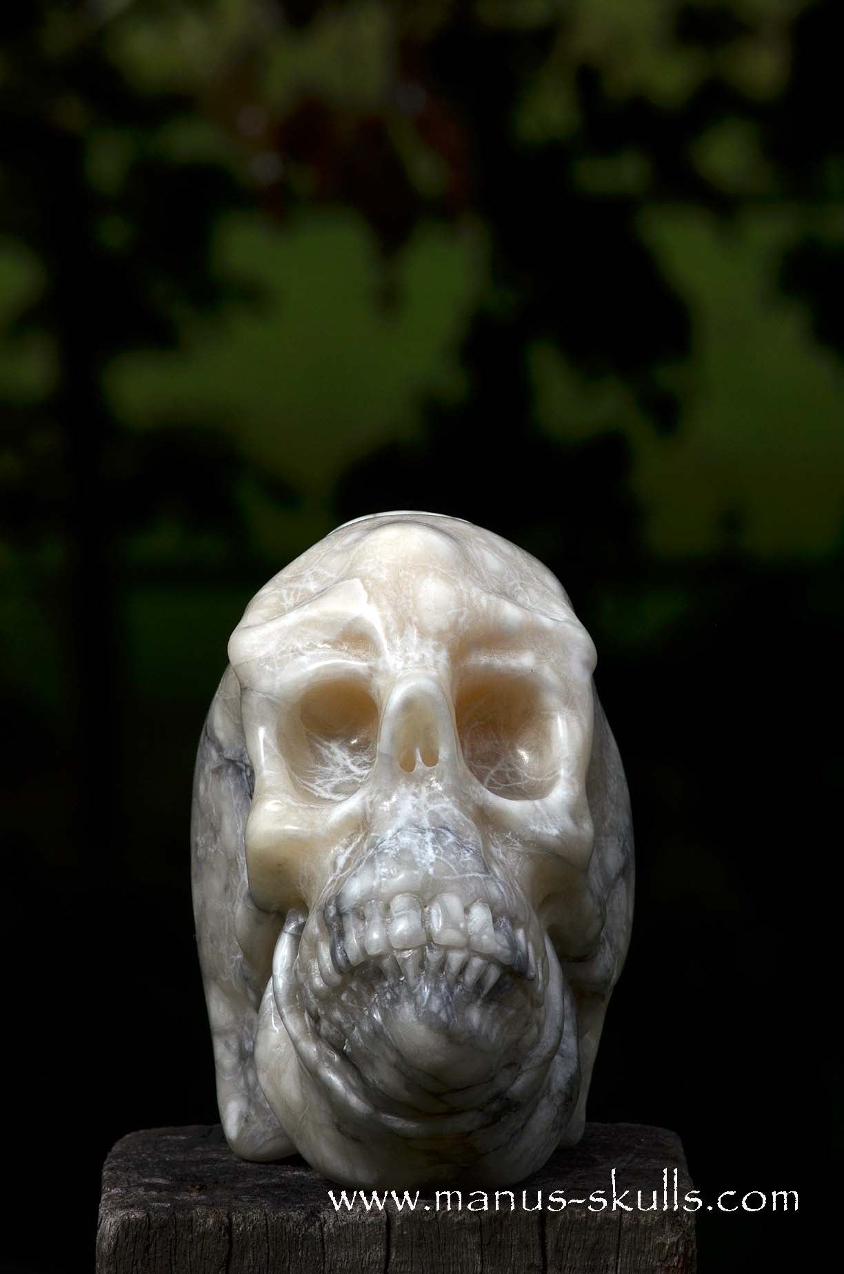 Alabaster Skull with carved Scarab Beetle ....