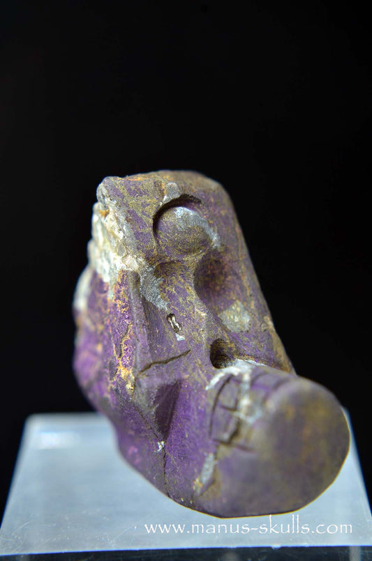 Manus skulls unique Crystal Carvings handmade skulls dragons pendants preseli bluestone tribals spiritual meaning wand Unicorn .. Evolian 2025 purpurite