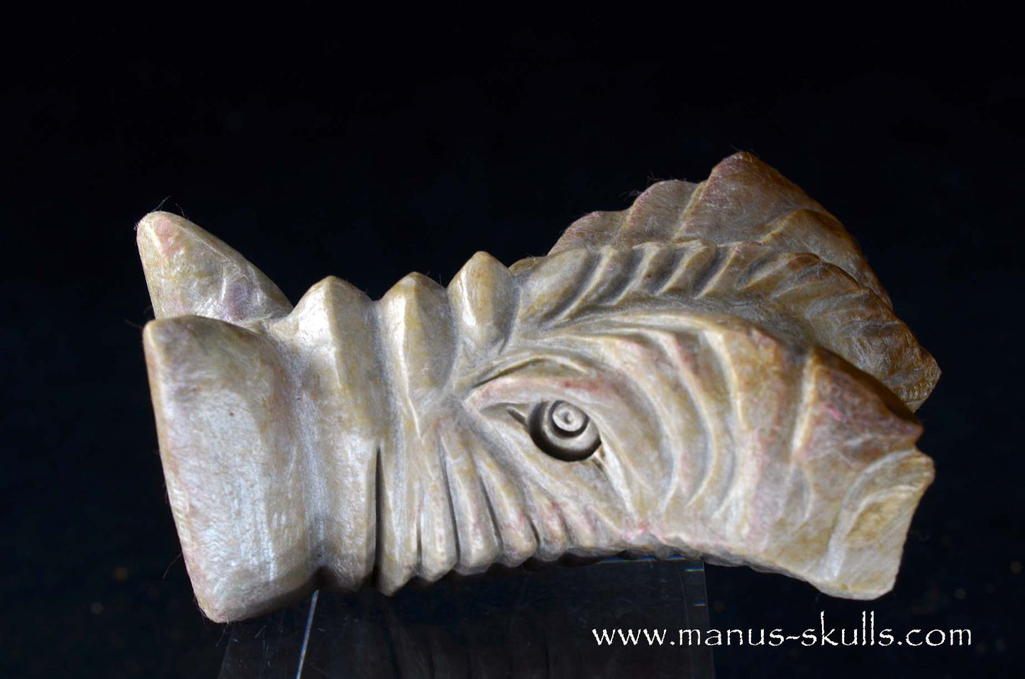 Sarsens stone Dragon (Stonehenge Stone)