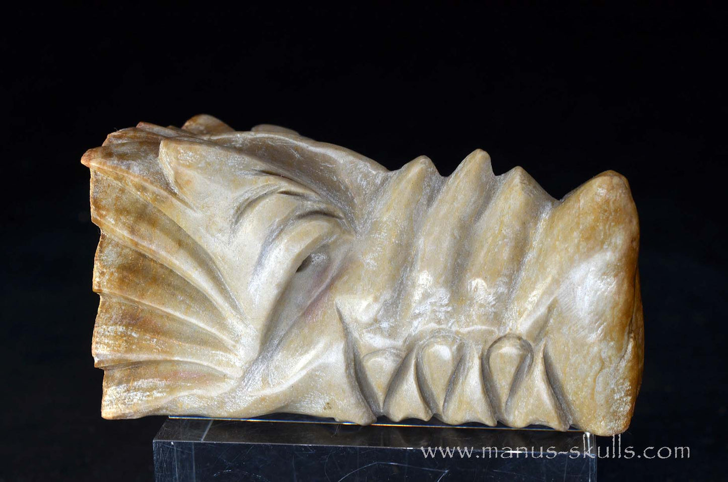 Sarsens stone Dragon (Stonehenge Stone)