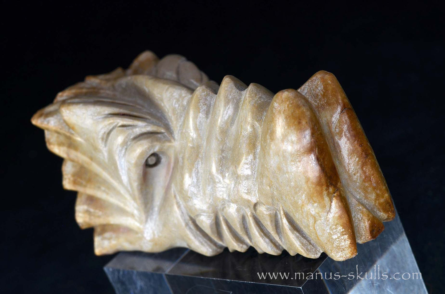 Sarsens stone Dragon (Stonehenge Stone)