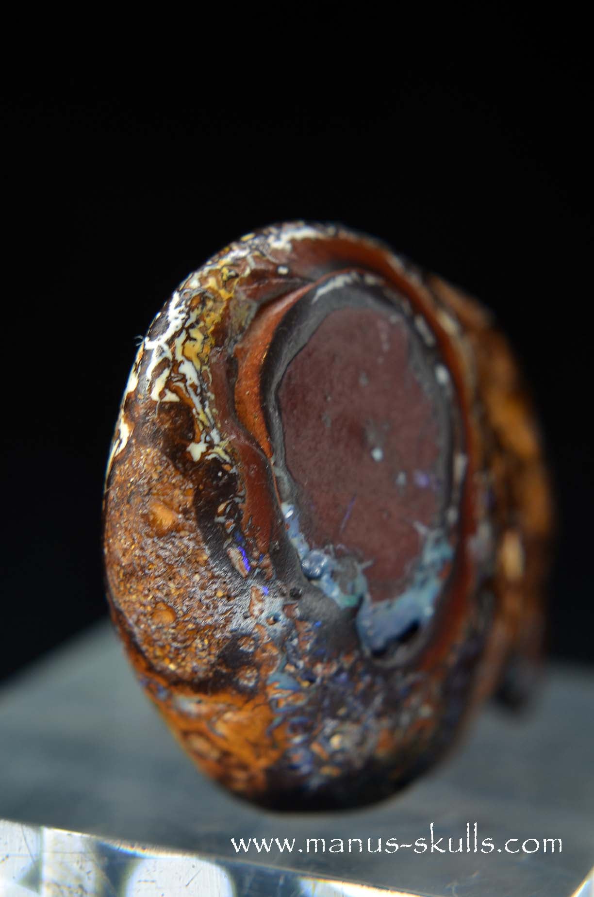 Yowah Nut Opal Skull