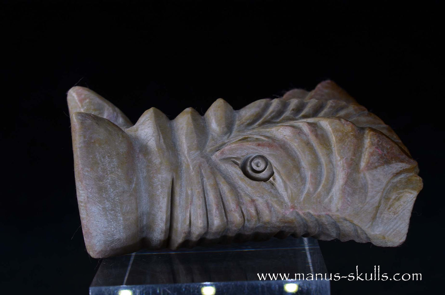 Sarsens stone Dragon (Stonehenge Stone)