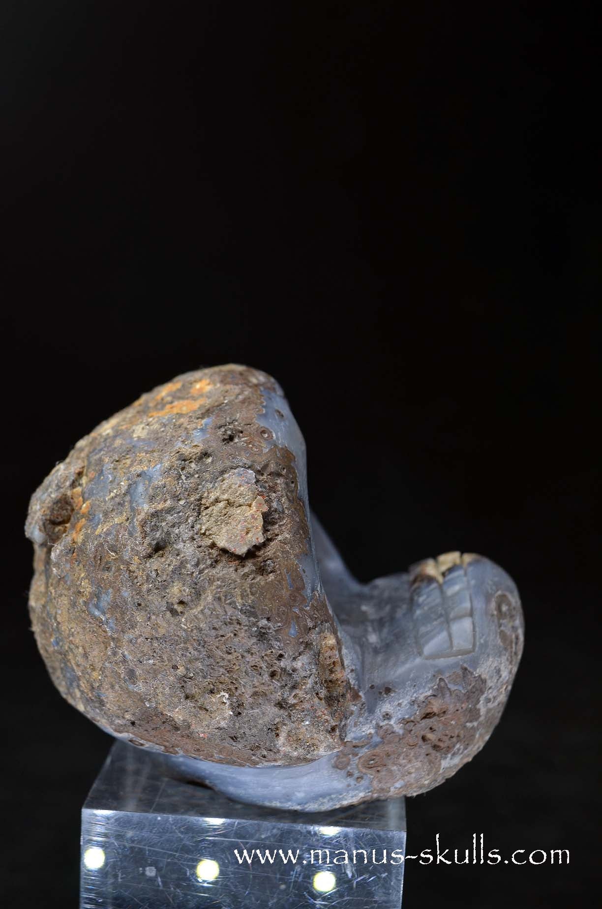 Agate Geode Evolian #06