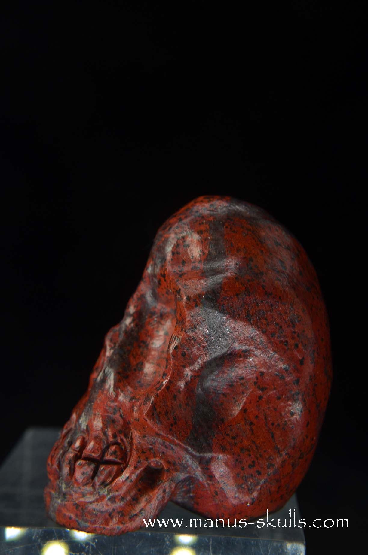 Sonora Sunrise Baby Skull