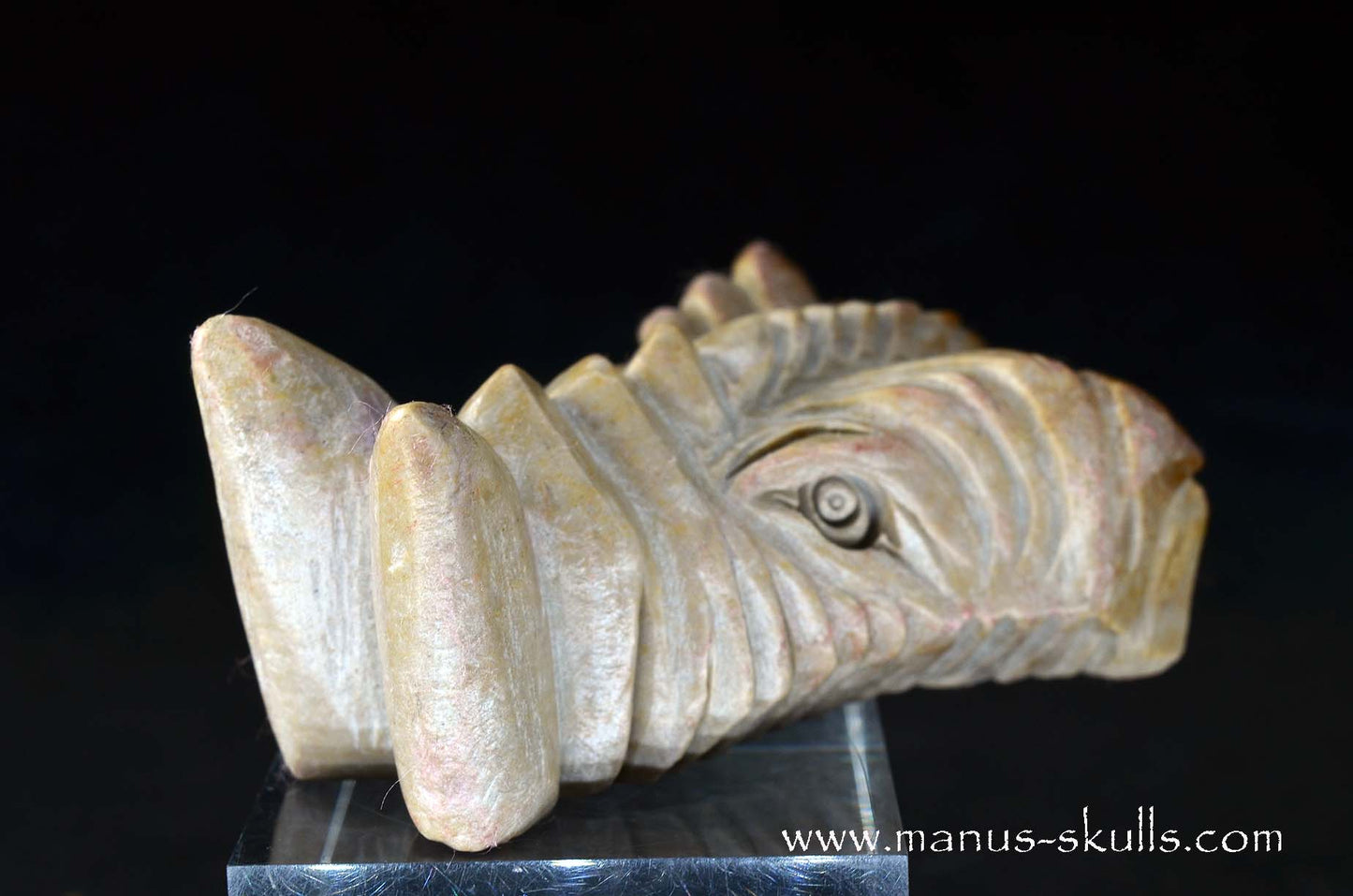 Sarsens stone Dragon (Stonehenge Stone)