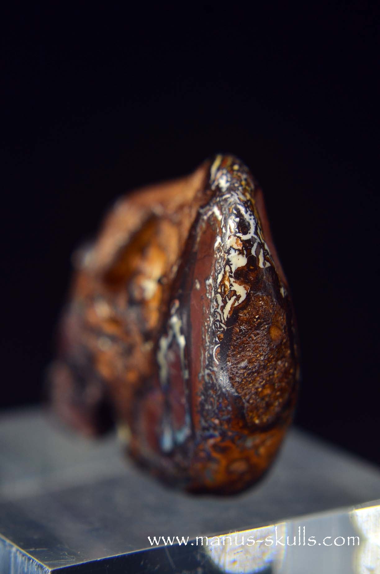 Yowah Nut Opal Skull