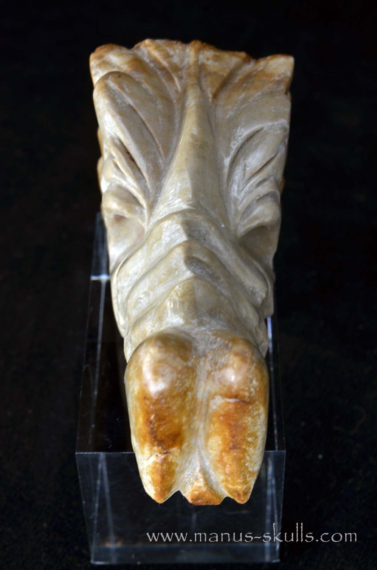 Sarsens stone Dragon (Stonehenge Stone)