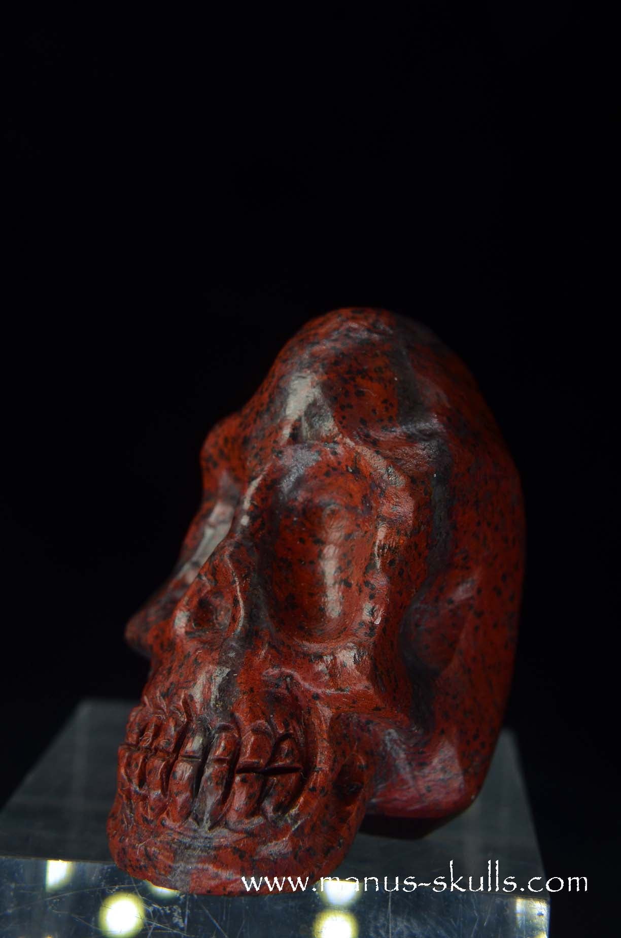 Sonora Sunrise Baby Skull