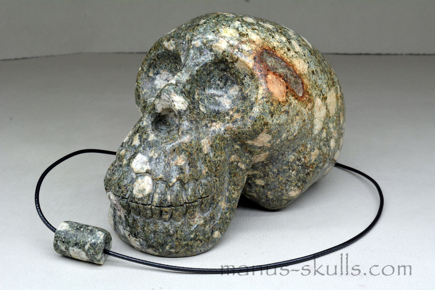 Large Preseli Bluestone Skull with Free Brainstem pendant!