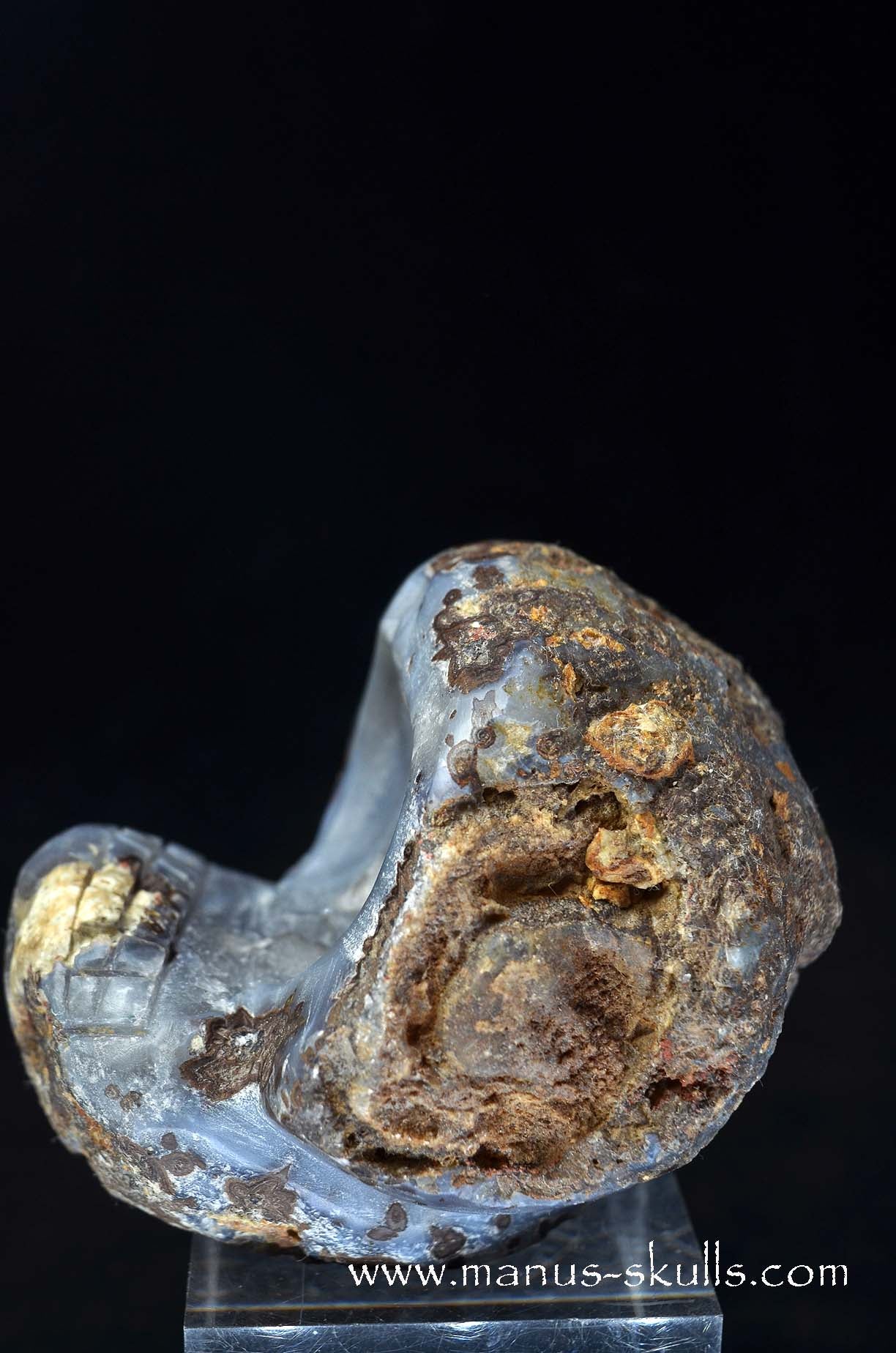 Agate Geode Evolian #06