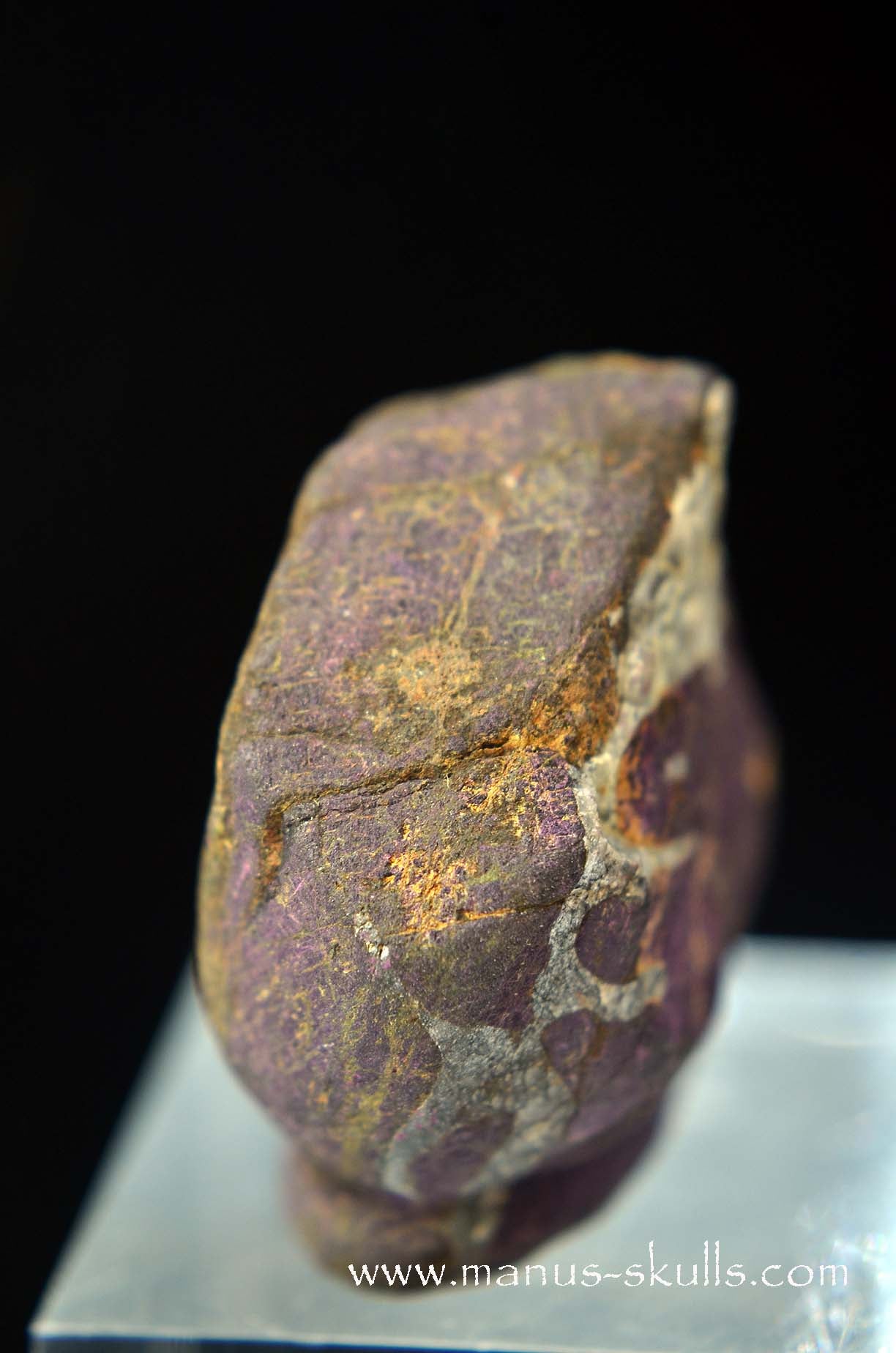 Purpurite Evolian #03