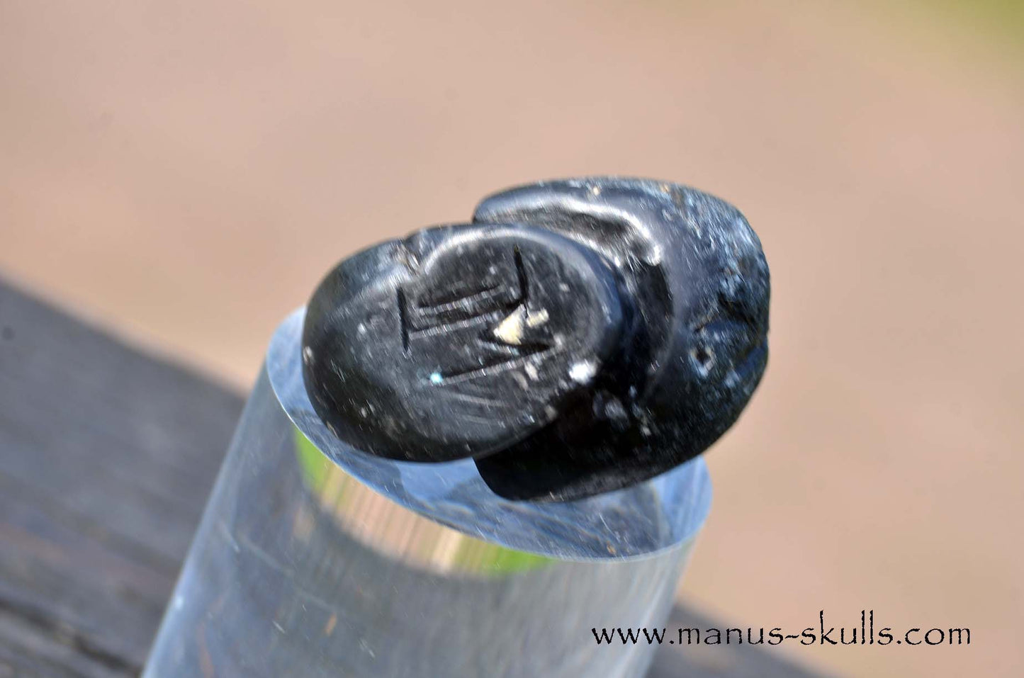 Agni Manitite Evolian #05