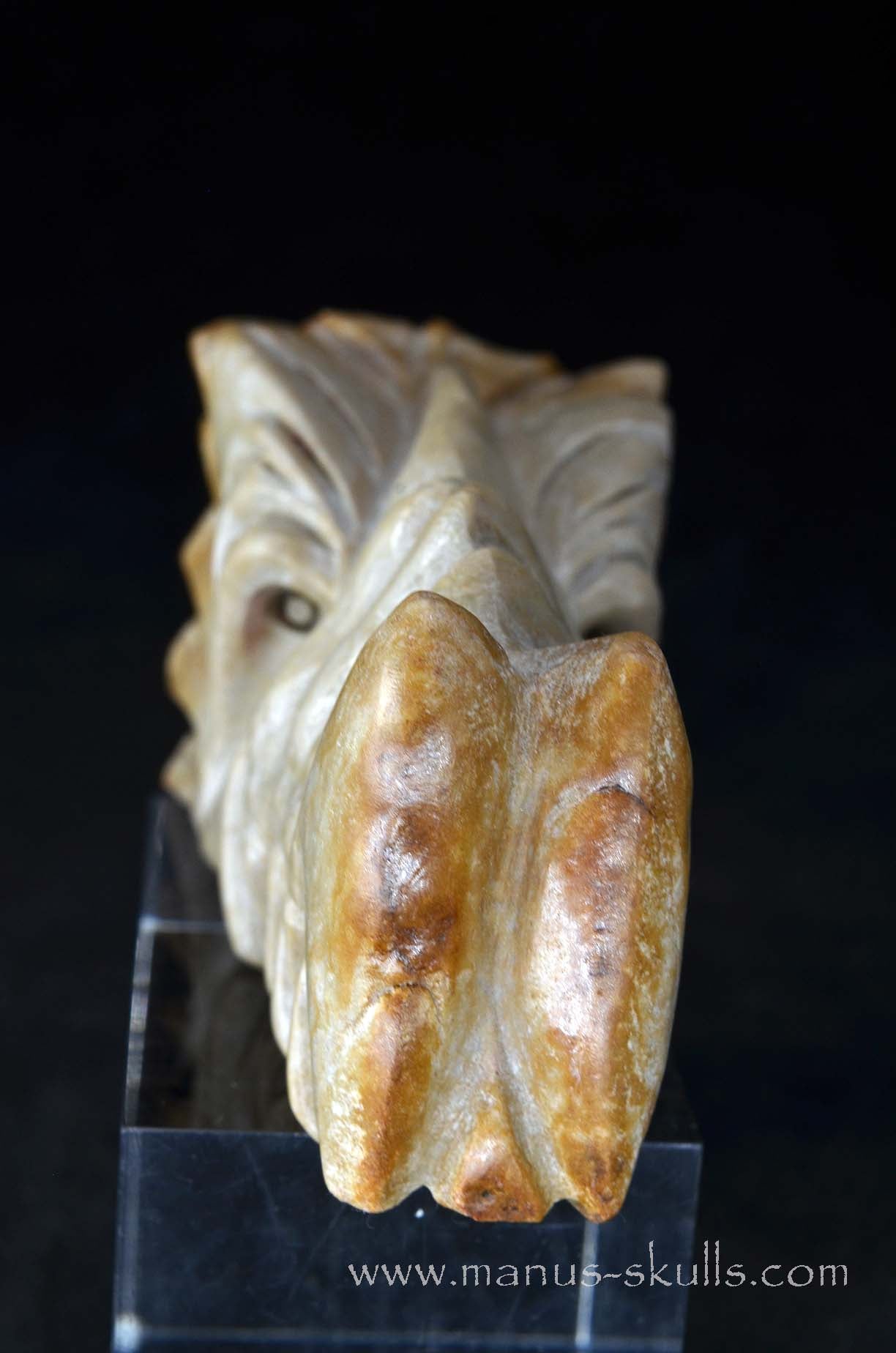 Sarsens stone Dragon (Stonehenge Stone)