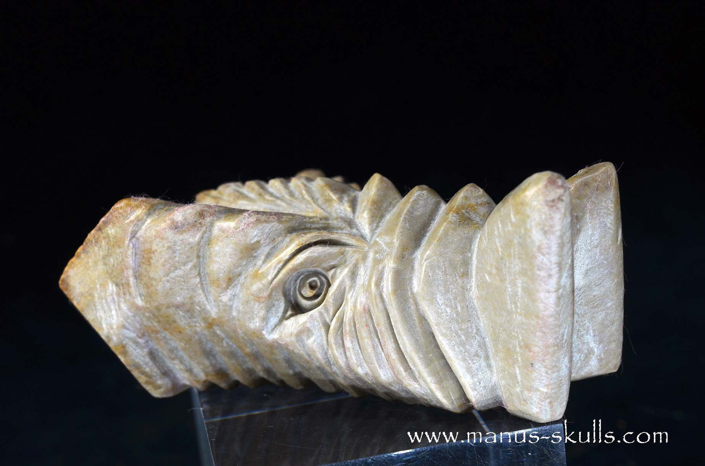 Sarsens stone Dragon (Stonehenge Stone)