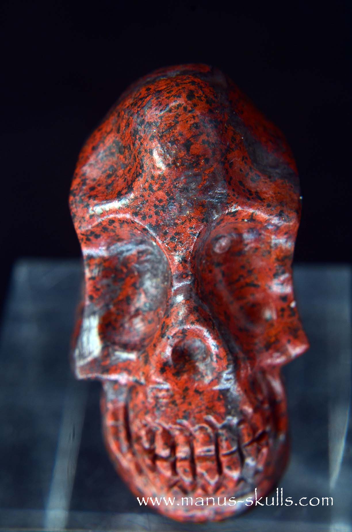 Sonora Sunrise Baby Skull
