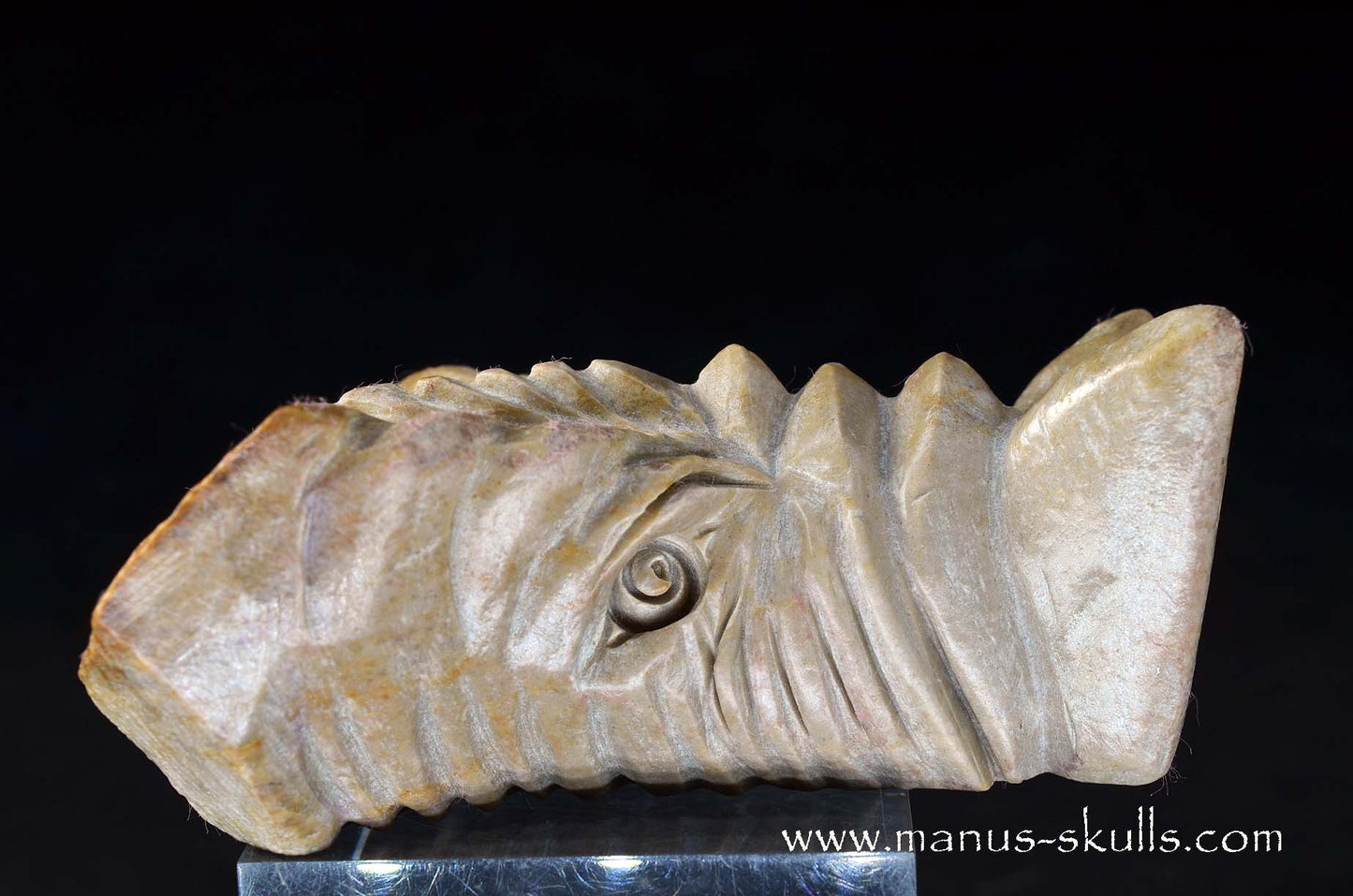 Sarsens stone Dragon (Stonehenge Stone)