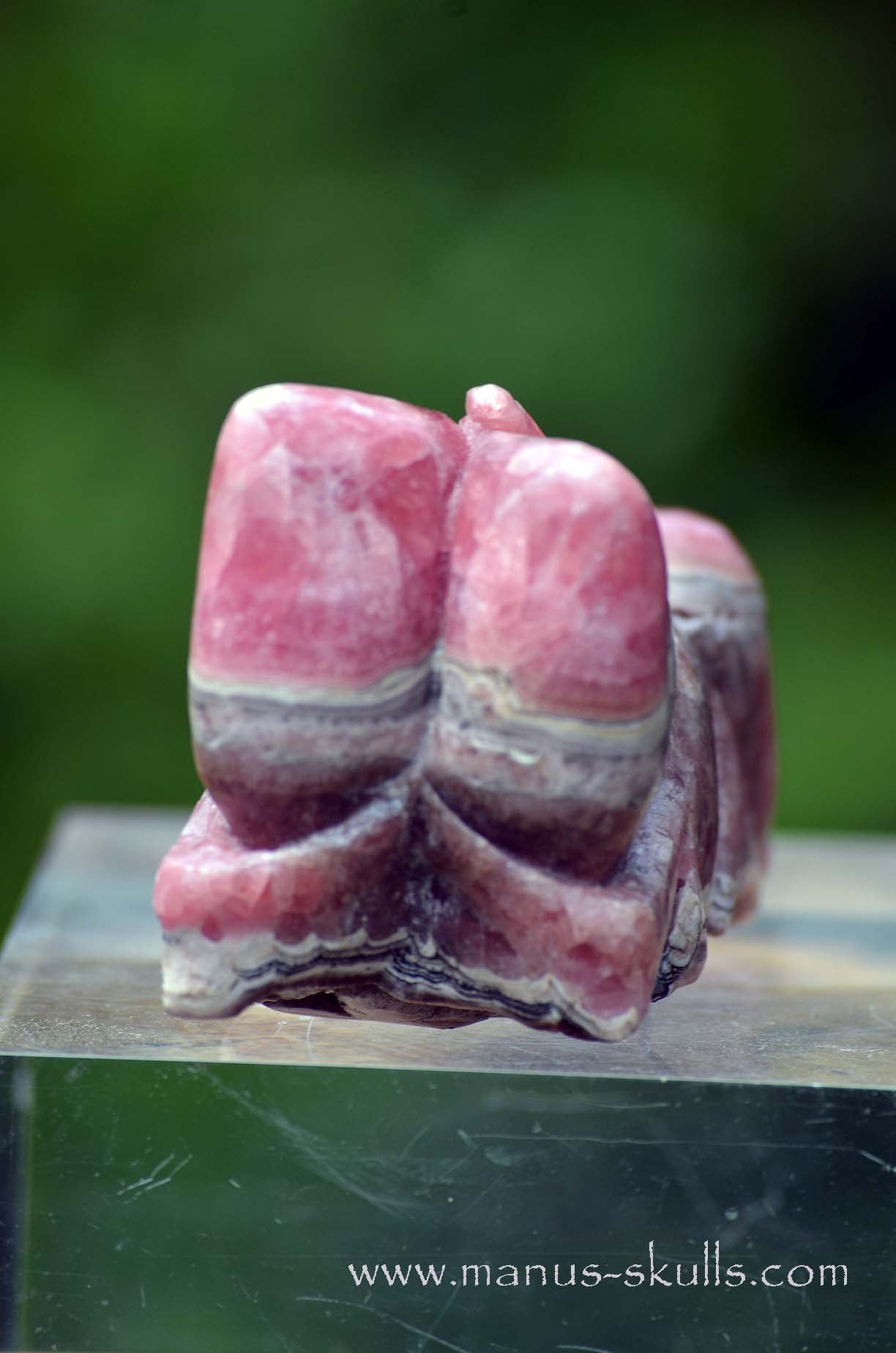 Rhodochrosite Dragon