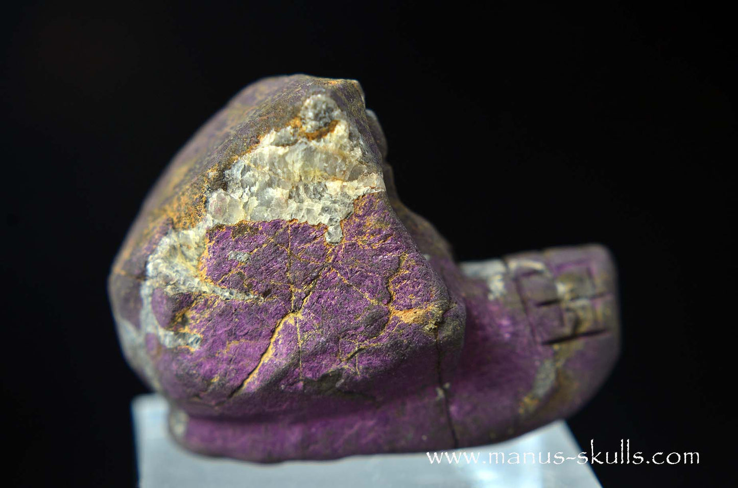 Purpurite Evolian #03