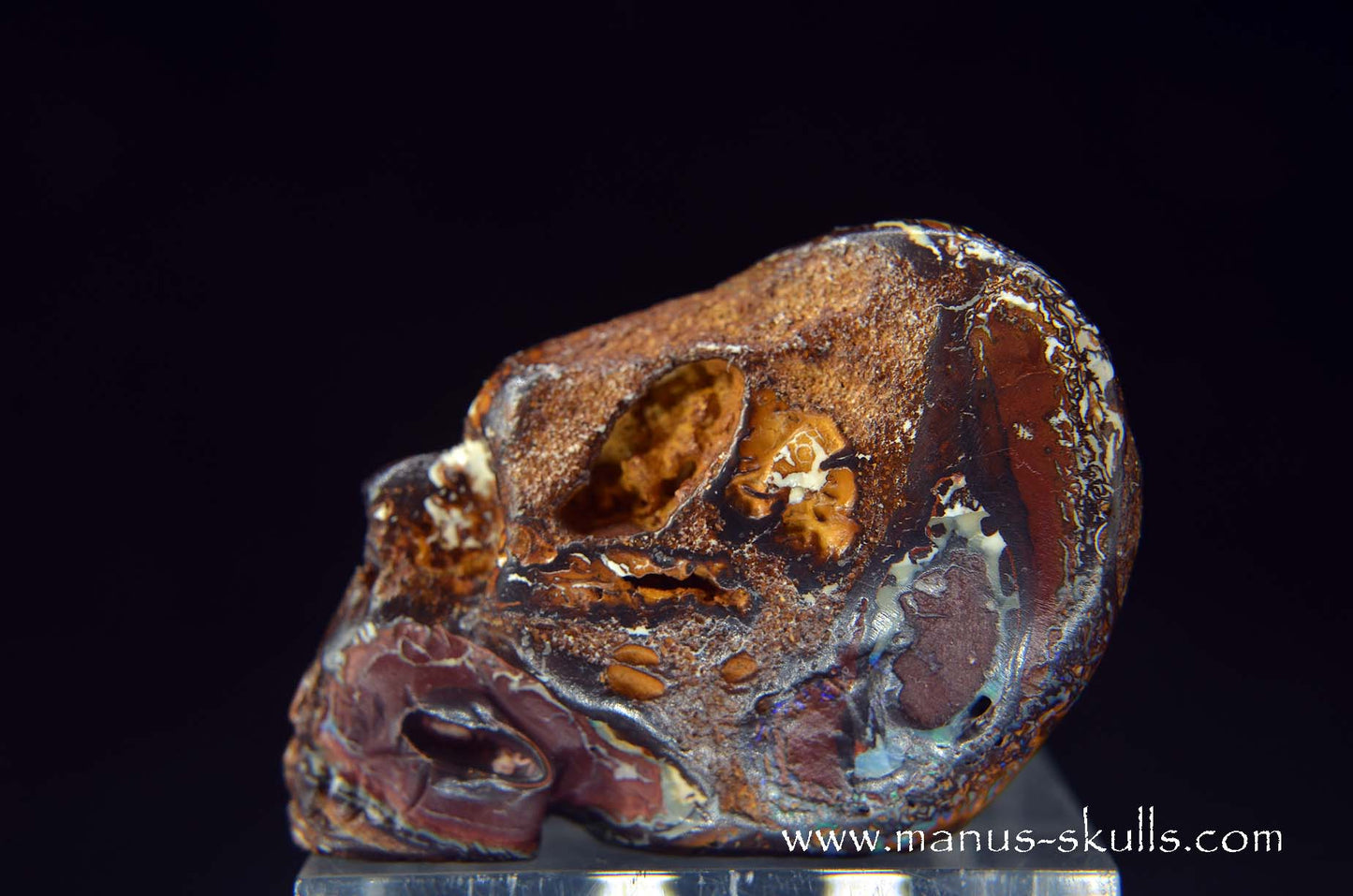 Yowah Nut Opal Skull