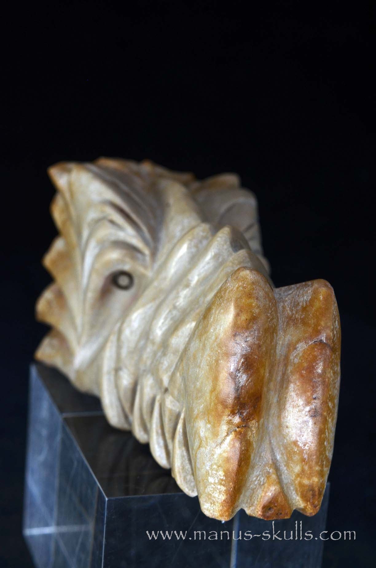 Sarsens stone Dragon (Stonehenge Stone)