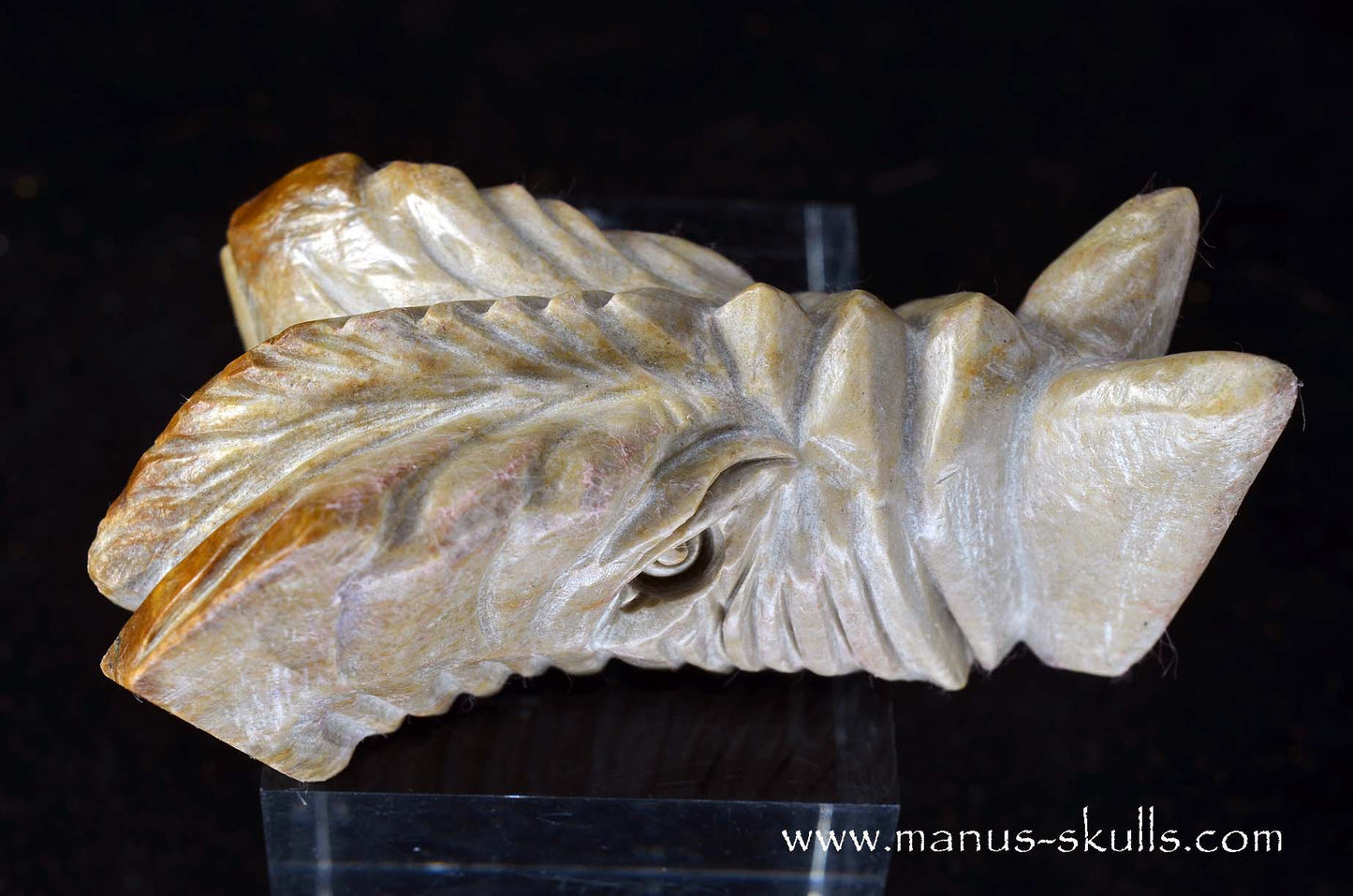 Sarsens stone Dragon (Stonehenge Stone)