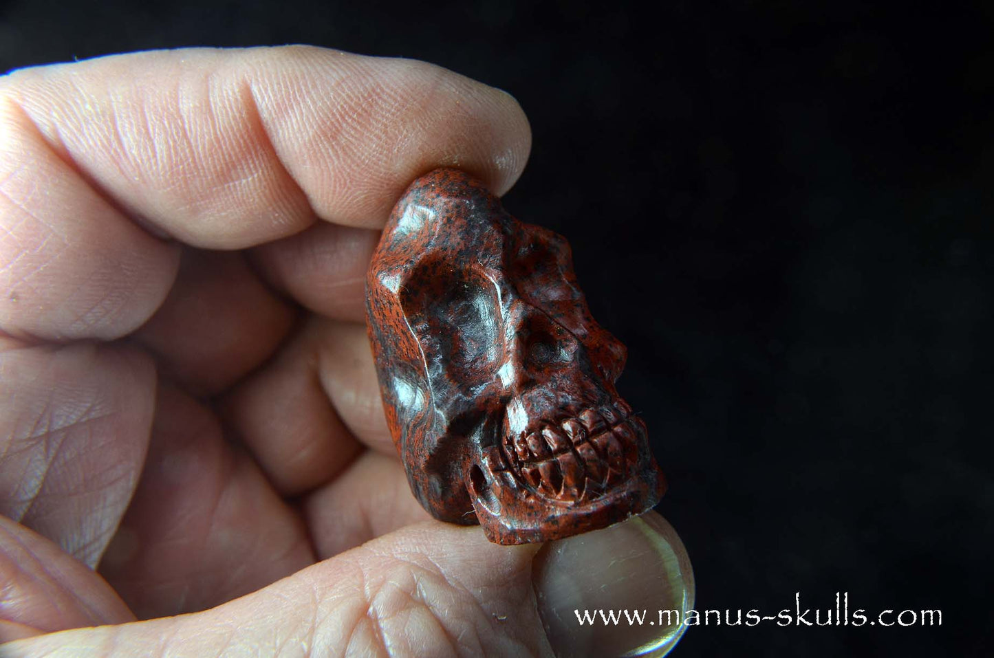 Sonora Sunrise Baby Skull