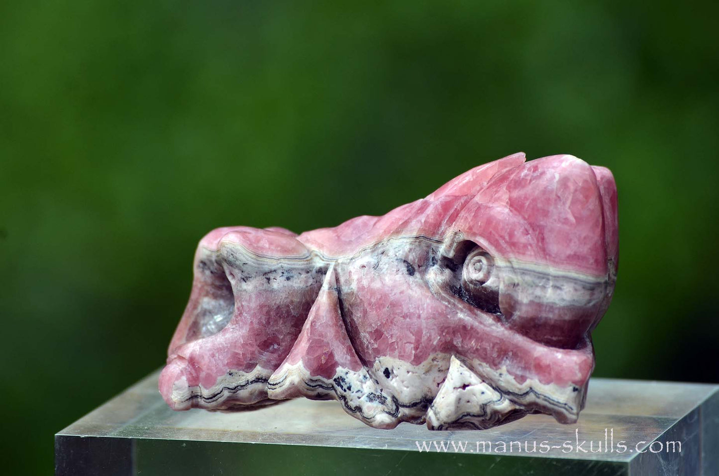 Rhodochrosite Dragon