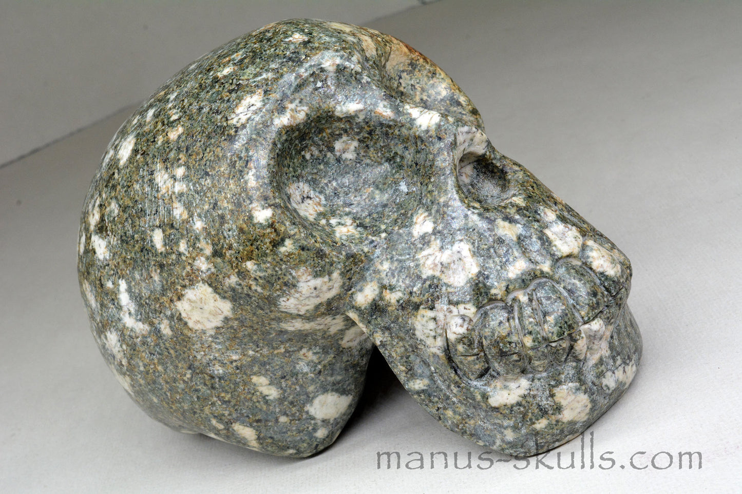 Large Preseli Bluestone Skull with Free Brainstem pendant!