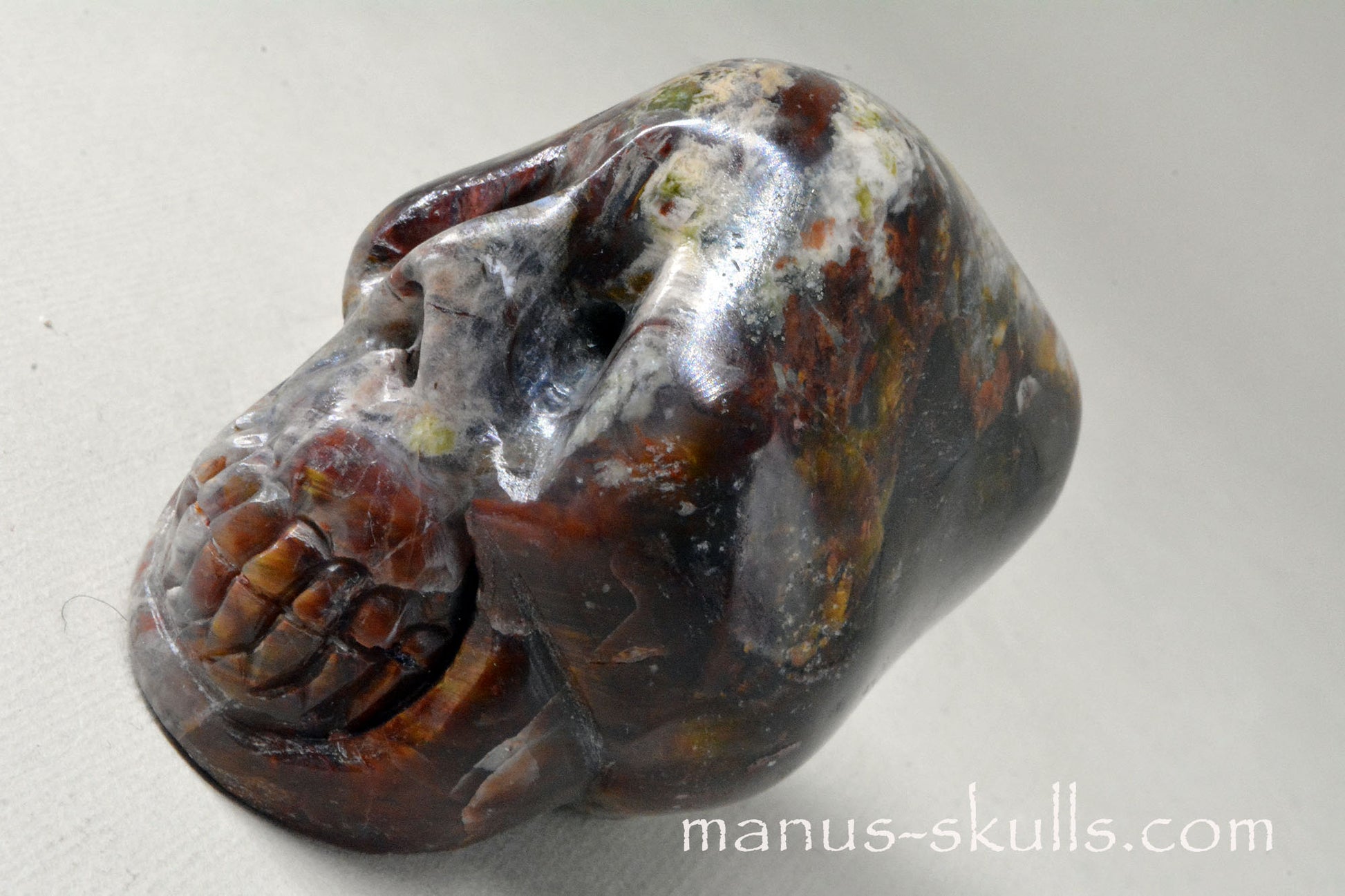 PIETERSITE Toothless Manus SKULL .....