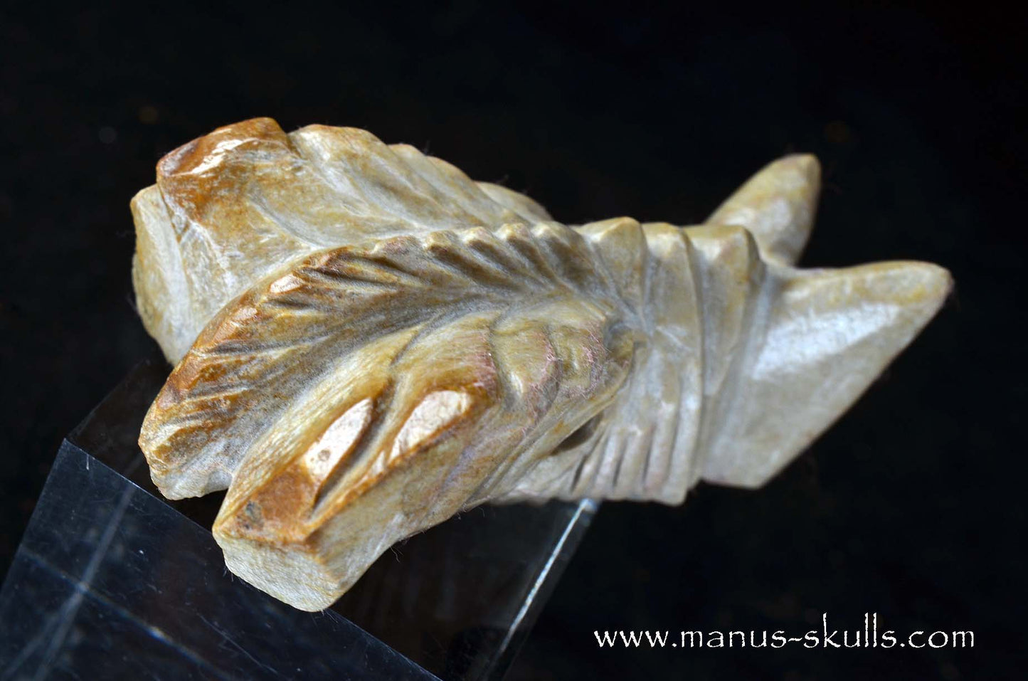 Sarsens stone Dragon (Stonehenge Stone)