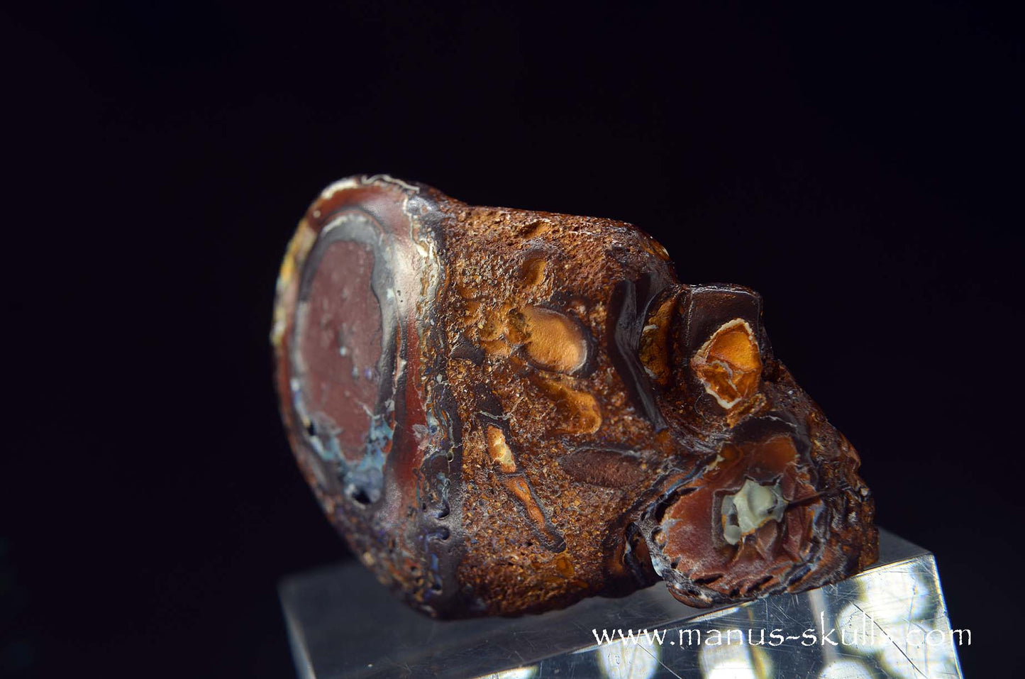 Yowah Nut Opal Skull