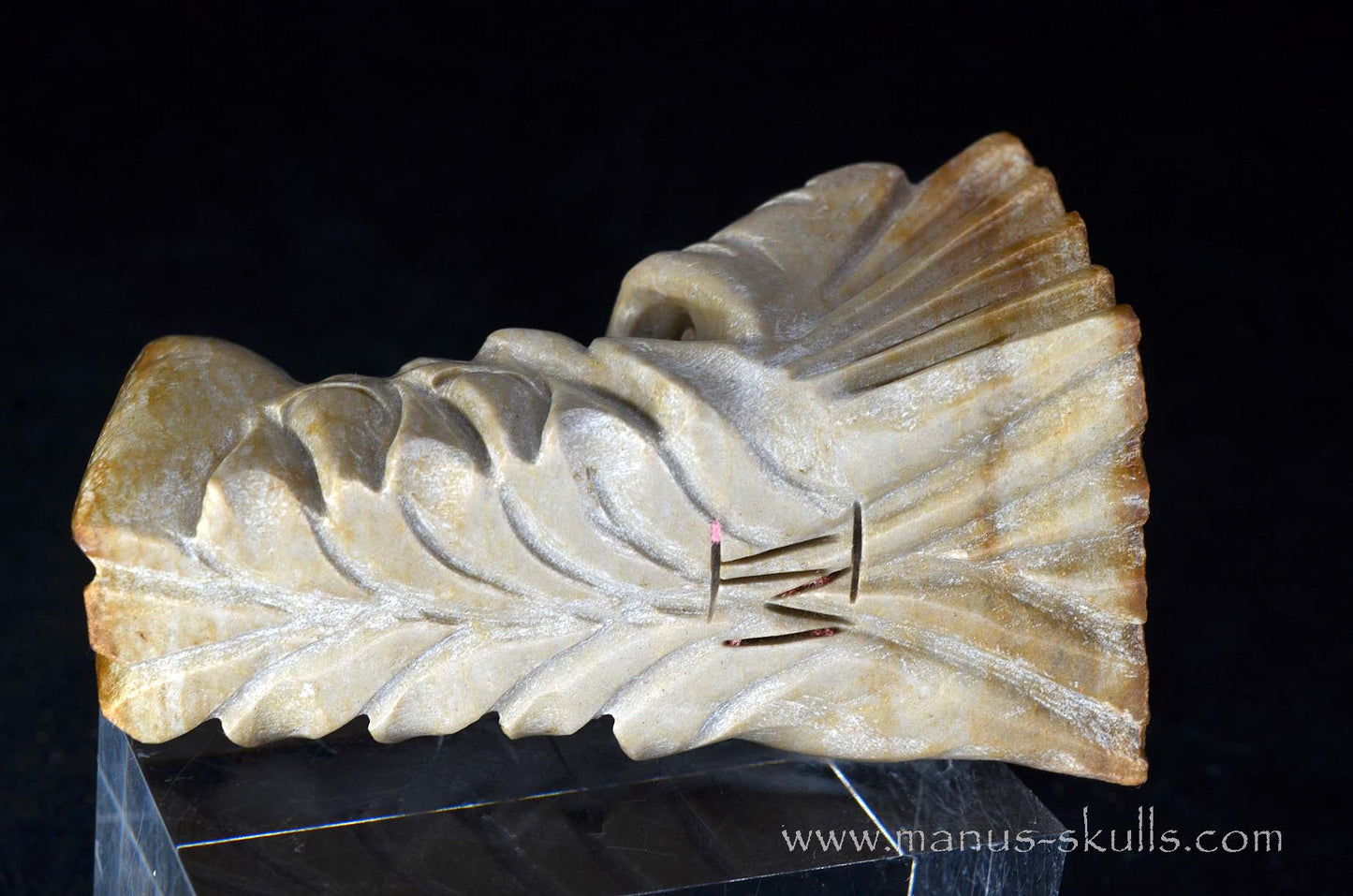 Sarsens stone Dragon (Stonehenge Stone)