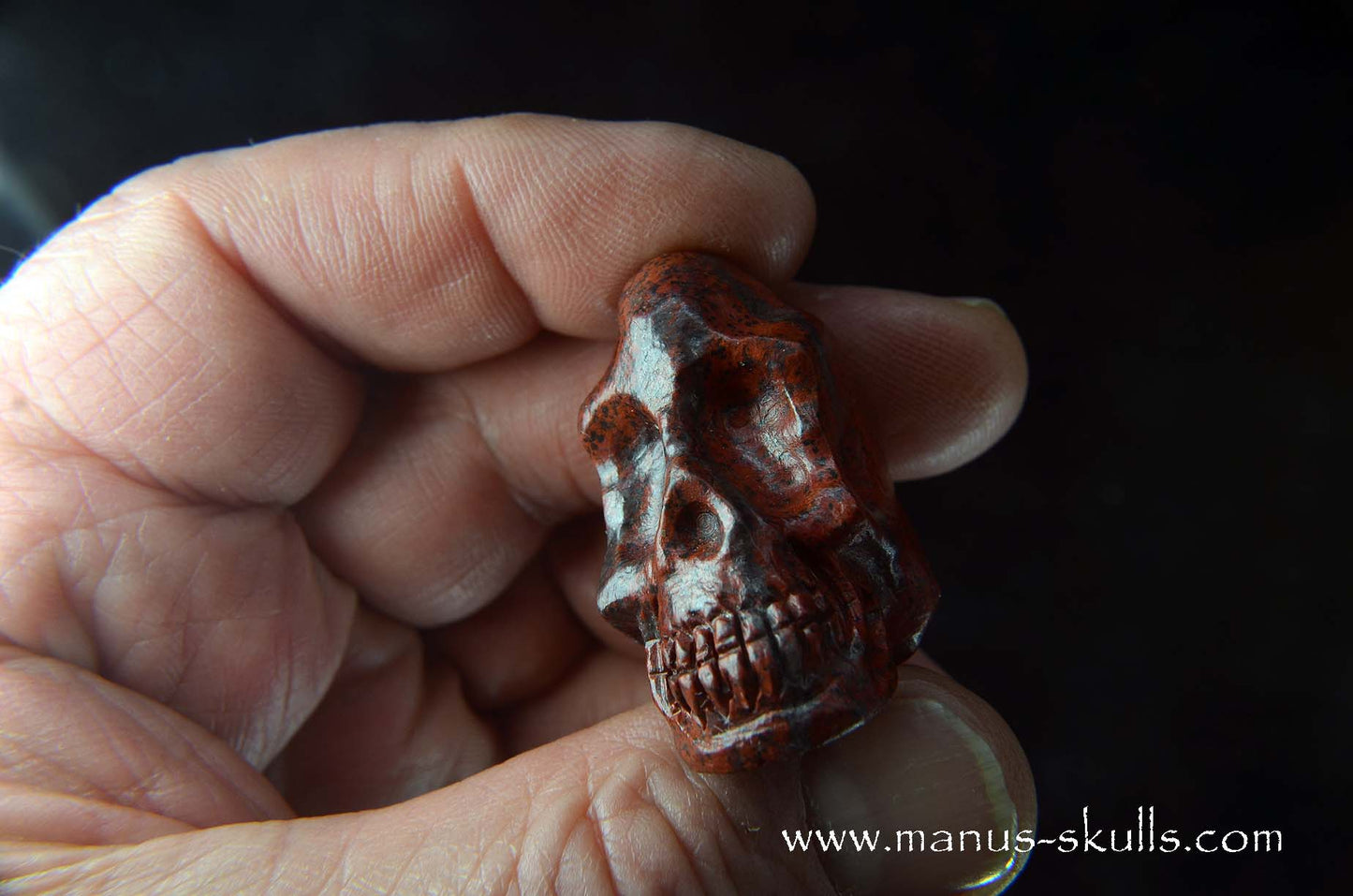 Sonora Sunrise Baby Skull