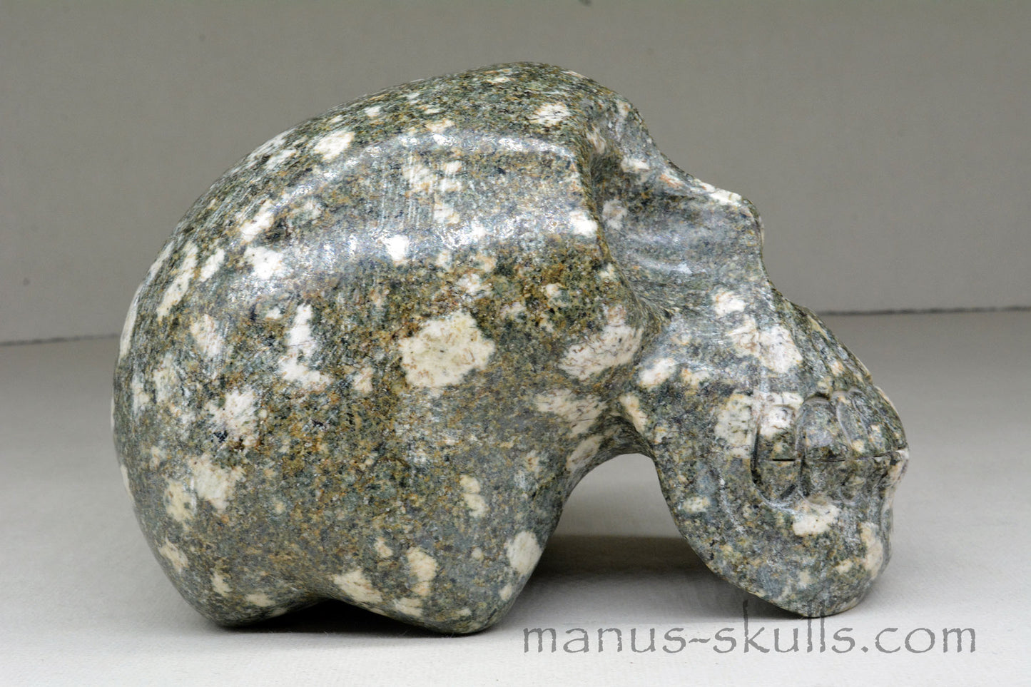 Large Preseli Bluestone Skull with Free Brainstem pendant!